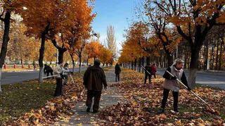 Более 17 тысяч жителей Владимира вышли на большой осенний субботник