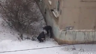 В Рязани появились объявления о наборе курьеров для продажи спайса