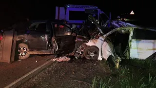 Серьезное ДТП в Судогодском районе: две легковушки столкнулись с лосем