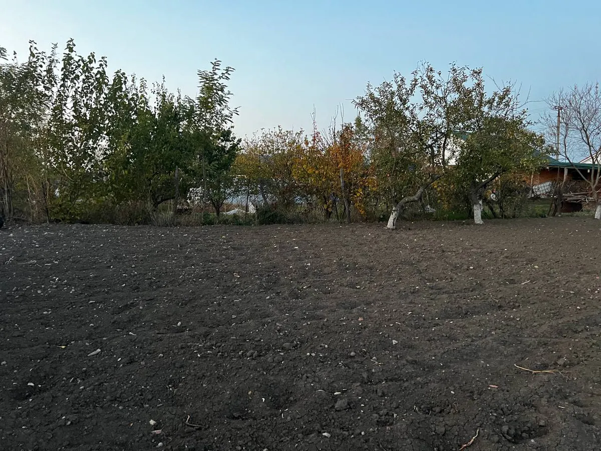 В апреле будут забирать землю: всех, у кого участок или дача в собственности, ждет неприятный сюрприз