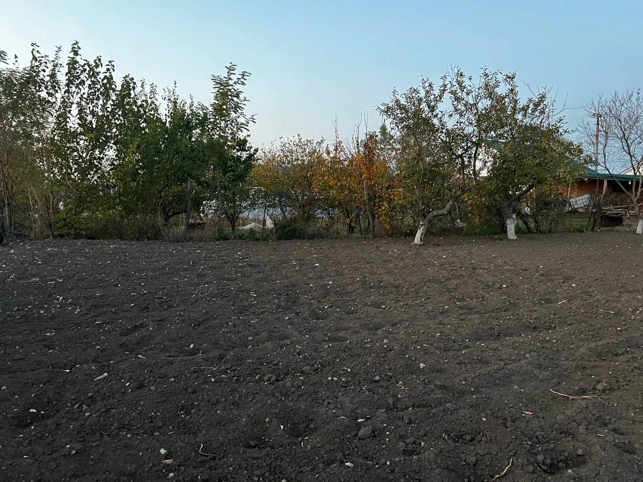 Бахилы в апреле скупаю пачками - и не нарадуюсь новой хитрости: вот как использую весной