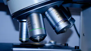 «Уточняйте на месте»: как будут пускать в кафе, кинотеатры и рестораны в период нерабочих дней