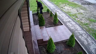 В Рыбном мужчина украл растущую у магазина тую