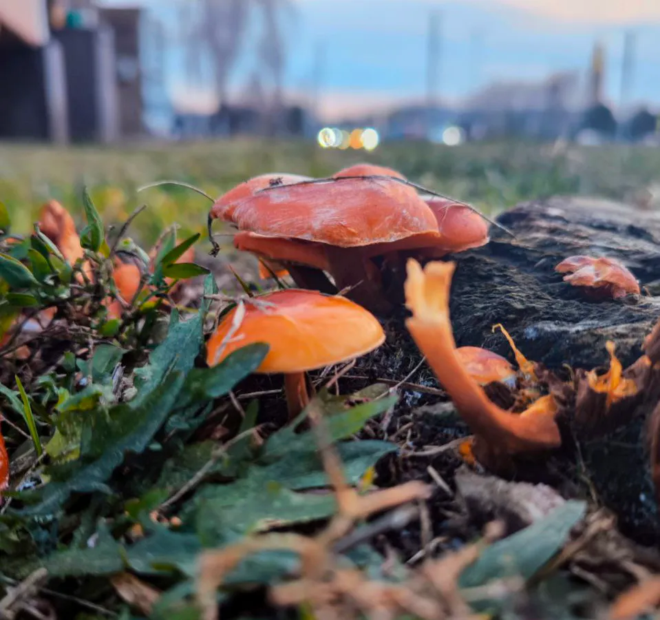 В Нижнекамске 27 ноября ожидается переменчивая погода