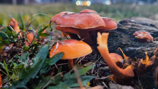 В Нижнекамске 27 ноября ожидается переменчивая погода