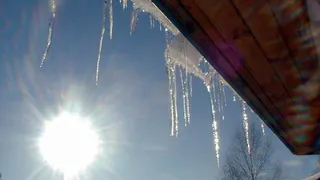 Погода: весна захватывает европейскую часть России рекордными темпами