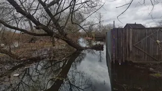 Паводок наступает на Брянскую область