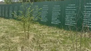 В Чувашии проверили скотомогильники: выявлены нарушения