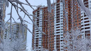 С 16 декабря начнут лишать прав за прогрев двигателя: ГИБДД поедет по дворам