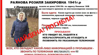 Пропавшую в Нижнекамске бабушку нашли мертвой