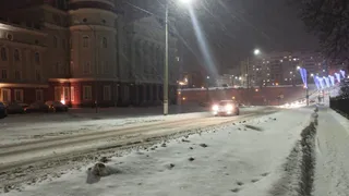 Стало известно, сколько снега выпадет в Рязанской области к Новому году