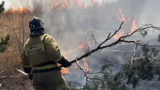 В Минприроды назвали причину увеличения площади пожаров в Рязанской области