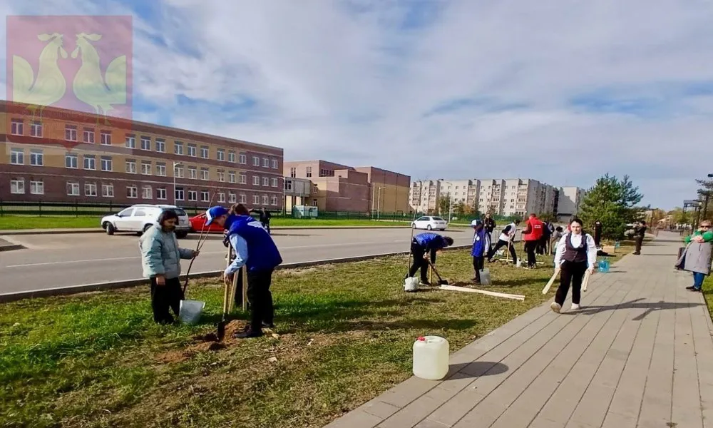 В Покрове школьники и волонтёры высадили Аллею Героев