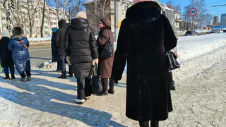 "Теперь бесплатно для каждого пенсионера": новая льгота вводится уже с 19 марта