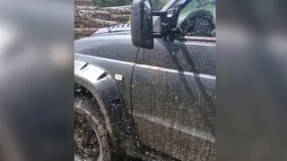 Жители Рязанской области столкнулись с нашествием мошек