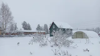 Полный откат к зиме: Гидрометцентр поменял прогноз с 2 июня — вернутся морозы и снег