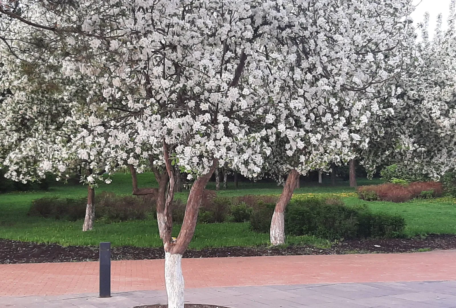 В Татарстане потеплеет до +18°