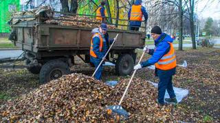 Нижнекамск готовится к месяцу субботников и средников