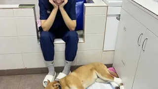 Щенок из Ставрово попал в беду и теперь лечится в приюте