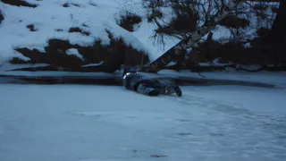 В Рязани, в пруду, нашли тело мужчины