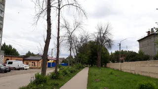 А вдруг упадут на ребенка? Возле школы №40 уже пару лет стоит "аллея" из сухих деревьев