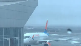 В Пензенской области задумались о запуске прямого авиарейса в Краснодар