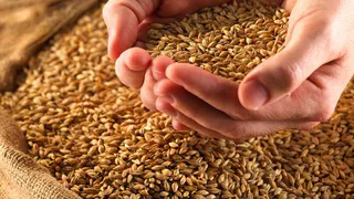 В Нижнекамске подвели итоги работы агропромышленного комплекса