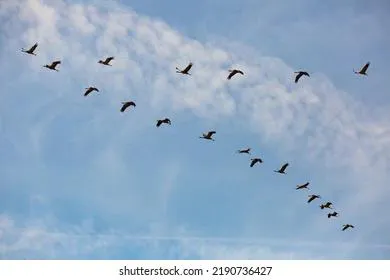 Приметы и запреты на 13 сентября: нельзя занимать и давать в долг