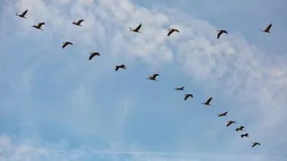 Приметы и запреты на 13 сентября: нельзя занимать и давать в долг