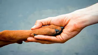 Нижнекамцы помогут фонду «Надежда» концертом