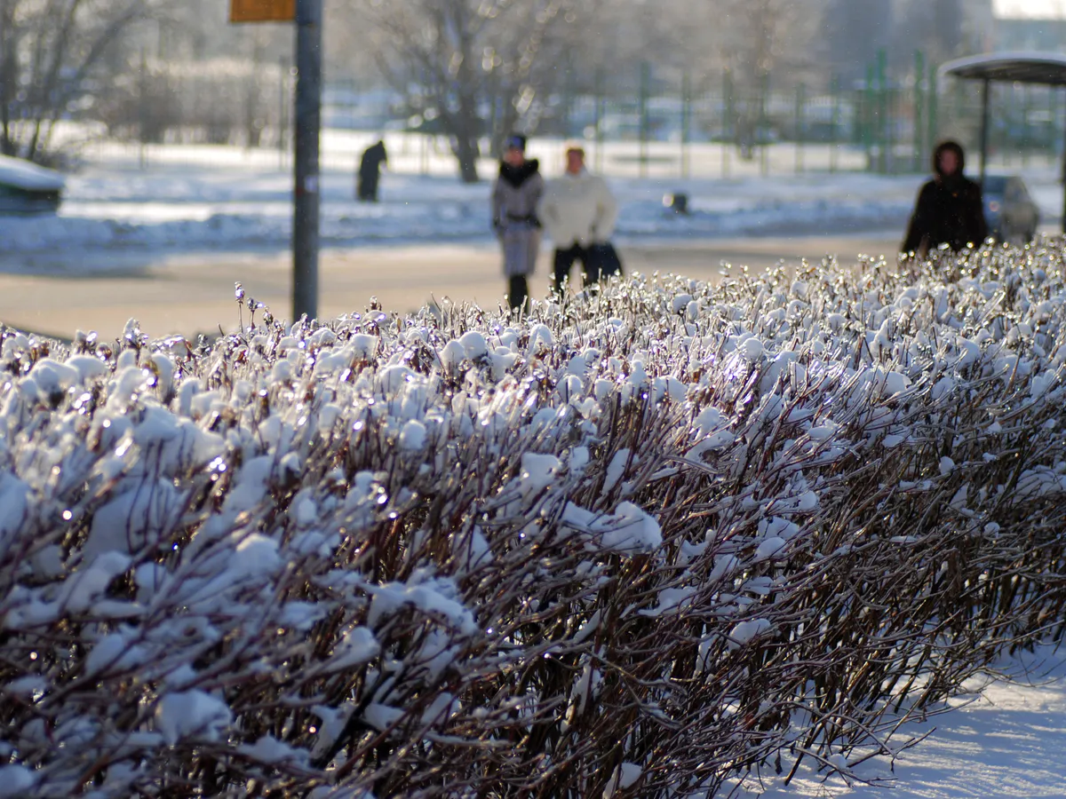 Холода возвращаются: Синоптики сообщают о морозах и мокром снеге с 26 июня