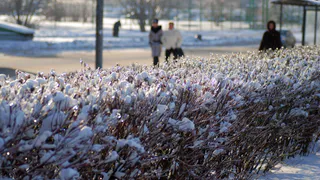 Холода возвращаются: Синоптики сообщают о морозах и мокром снеге с 26 июня