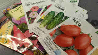 В Сердобском районе управляющего сельхозпредприятием поймали на краже около 5 тыс. килограмм семян