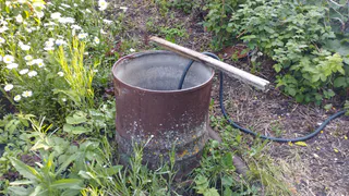 8 лет подряд засеиваем землю в августе именно этим сидератом — почва на следующий сезон будет без сорняков и 100% плодородной