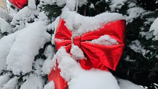 Выходные сдвинули из-за обстановки в стране: новогодние праздники 2025-2026 уже не будут такими, как прежде