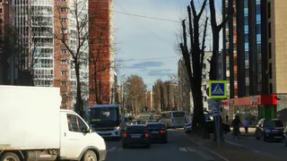 В Коми автошколу лишили лицензии после смертельной аварии