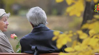 Более 33 тысяч пожилых жителей области выбирают активный образ жизни