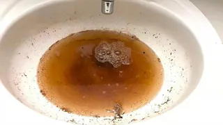 Назван лучший способ избавиться от засора сифона на кухне