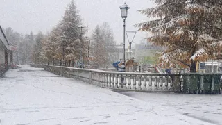 Евгений Тишковец озвучил регионы, на которые обрушится циклон «Бернвард»— ожидаются заморозки и первый снег