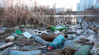 Во что превратились Черезовские пруды: плавучая свалка в Дашково-Песочне