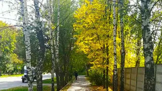 Всё ещё тепло: какая погода ждет рязанцев в пятницу и выходные