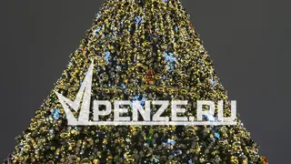 Стало известно, во сколько обойдется новая елка на площади Ленина