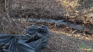 Рязанские активисты очистили от мусора пойму реки Трубеж