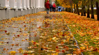 19 октября в Рязанской области ожидается ливень и до +13 градусов