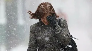 Брянцев предупредили об ураганном ветре