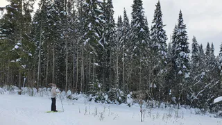 Не бойтесь желаний: Тамара Глоба пообещала двум знакам Зодиака белую полосу в жизни