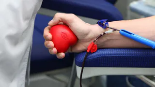 "Сдайте кровь на благо королевства!"