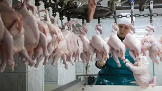 Брянские производители мяса планируют поставки в Ирак