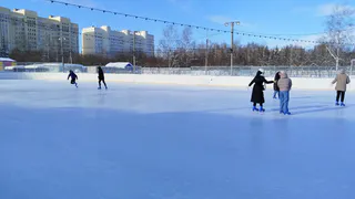 Во Владимире продали каток "Пингвин"