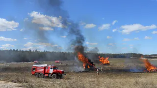 За неделю в Рязани потушили 99 пожаров